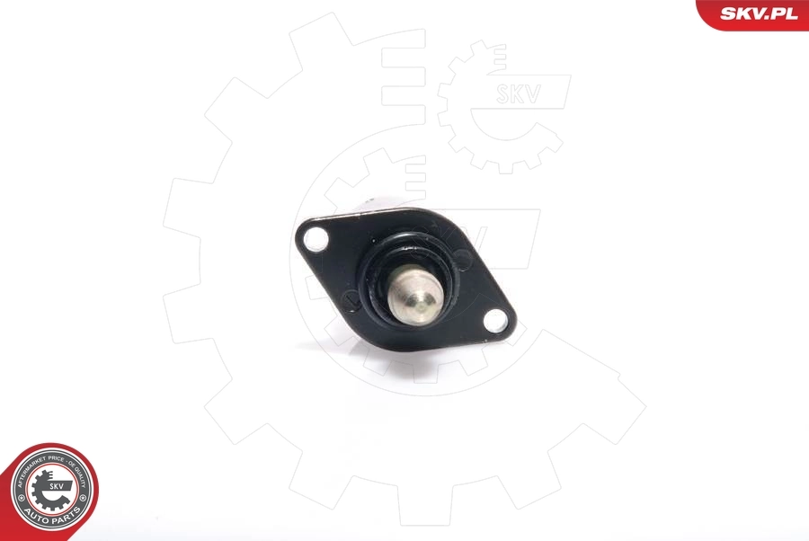 Idle Control Valve, air supply